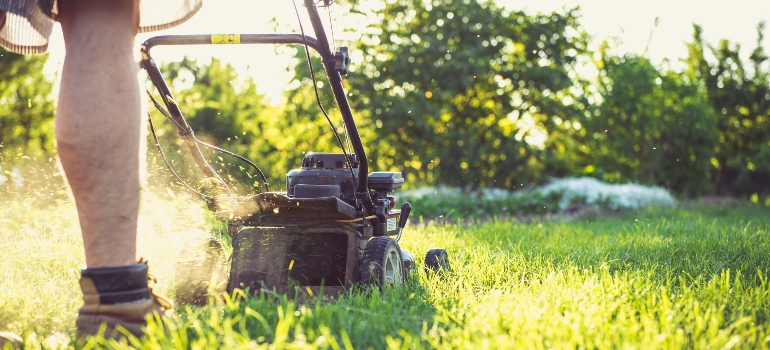 Osoba kosi travnjak.