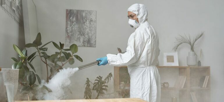 Osoba u zaštitnoj opremi sprovodi dezinfekciju u prostoru sa biljkama i blagom maglom, ilustrujući termičke metode dezinfekcije u kontrolisanim uslovima.